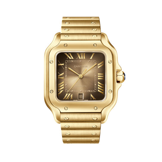 Cartier Santos de Cartier Large Automatic 40 mm Yellow Gold WGSA0095  image number 0